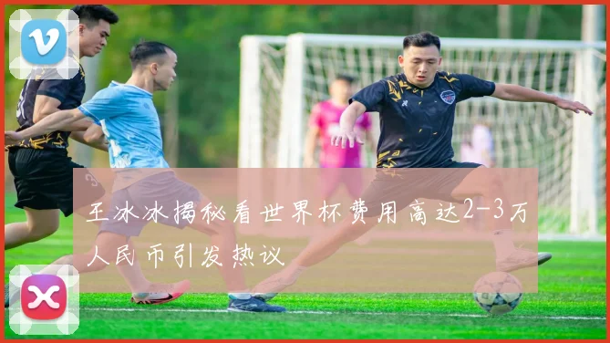 王冰冰揭秘看世界杯费用高达2-3万人民币引发热议