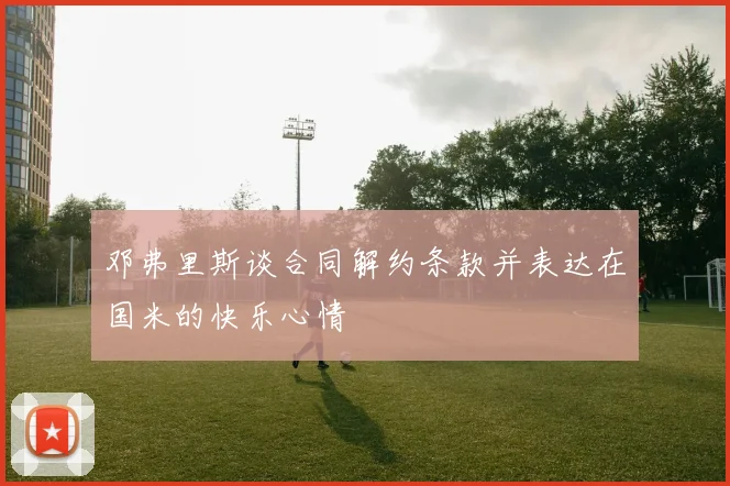 邓弗里斯谈合同解约条款并表达在国米的快乐心情