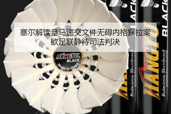塞尔解读皇马递交文件无碍内格雷拉案 欧足联静待司法判决(XingkongSports)