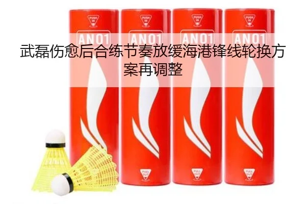 武磊伤愈后合练节奏放缓海港锋线轮换方案再调整（XingkongSports）